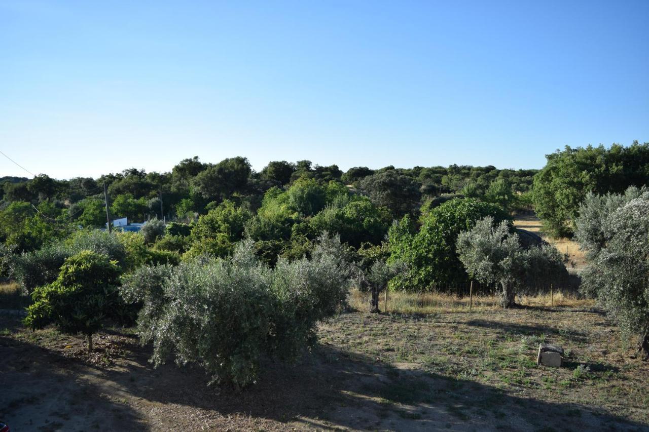 Memsoares Country House Castelo de Vide Exterior foto